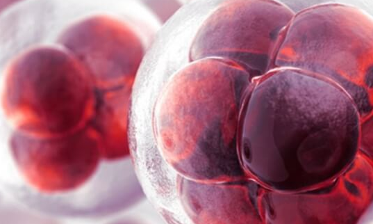 试管婴儿卵子质量差的原因分析：年龄与卵巢早衰的双重挑战