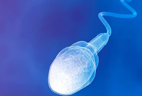 精子不液化对试管婴儿的影响：成功率并非不足三成