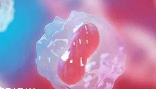 上海试管婴儿医院：取卵后出点血先别慌，弄清原因方知是否正常