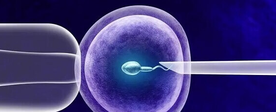 42岁赴美做试管婴儿：挑战与机遇并存