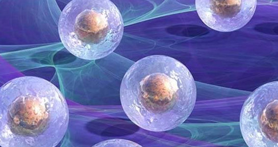 泰国试管婴儿：卵子可用率背后的技术逻辑与个体差异