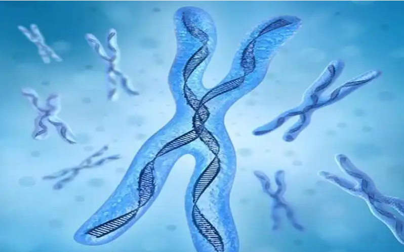 杭州三代试管婴儿：技术优势与医院选择全解析