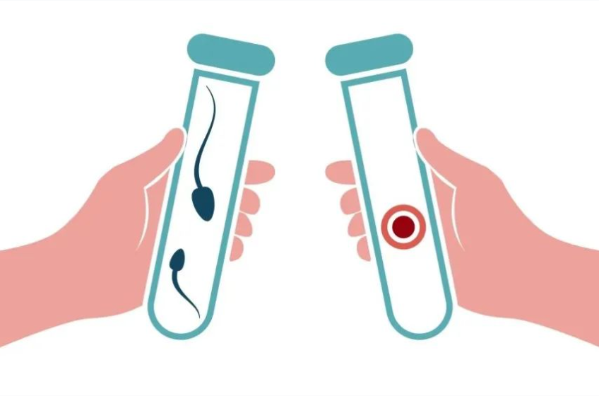 美国BHF生育中心三代试管婴儿：一位女性跨越山海的勇气与新生