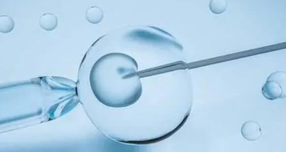 试管婴儿促排：个体敏感性决定是否提前排卵的“关键变量”