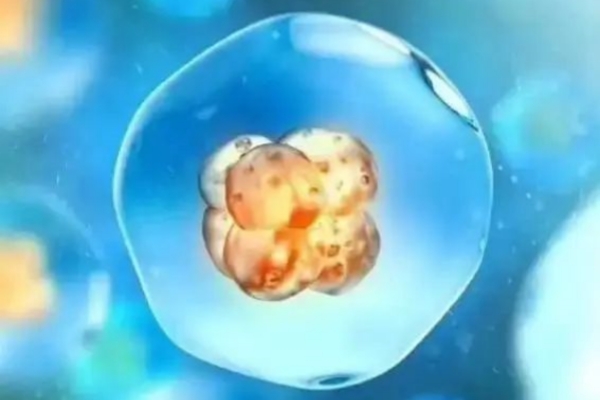 众多网红明星选择美国试管助孕的深层原因