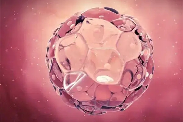 美国CCRH生殖中心：试管婴儿卵泡监测把握3个检查时间节点，提升成功率