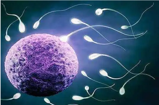 杭州三代试管婴儿：技术红利背后，为何选择前需审慎权衡？