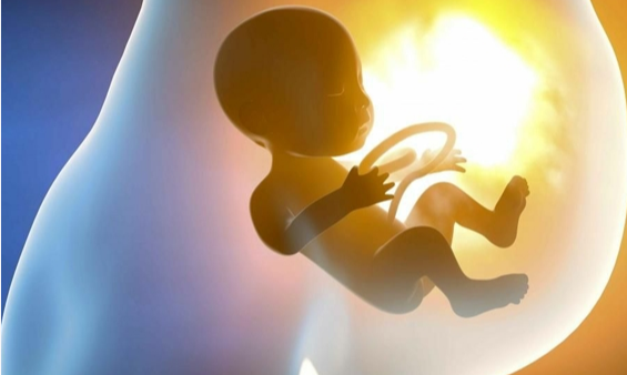 杭州三代试管婴儿：科学推算预产期的三大核心方法