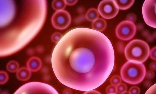 试管促排出现空泡,卵巢反应差或是主因