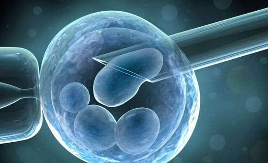 试管移植前ERA与ERT:区别、适用人群及费用全解析