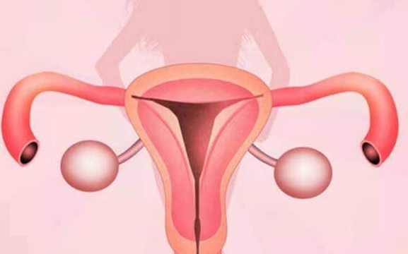 胚胎移植失败后不来月经？药物副作用或是“元凶”