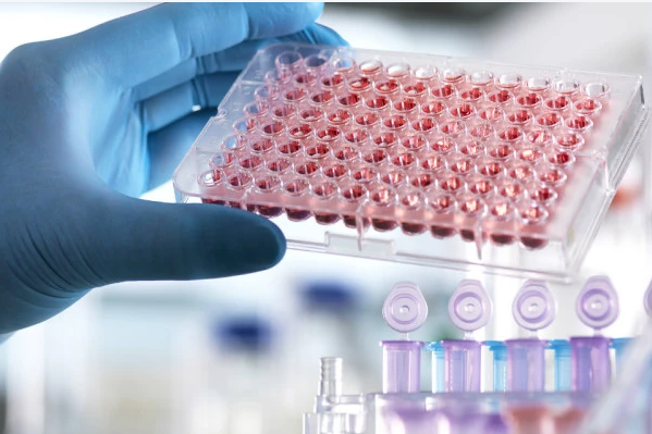 杭州三代试管婴儿：取卵数量如何科学把控？关键数据与个体化方案解析