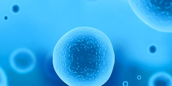 美国试管移植后白带增多别慌，科学解读助你安心