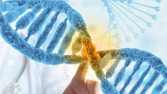 泰国三代试管婴儿：精准筛查血友病基因