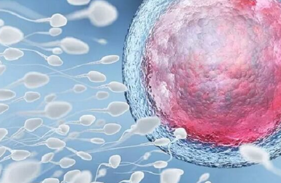 反复胚胎质量差，调整促排方案或成破局关键