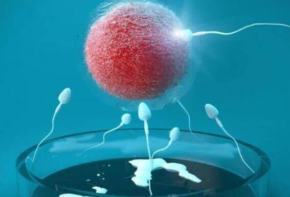 国内女方患HIV与三代试管婴儿:政策限制与现实考量