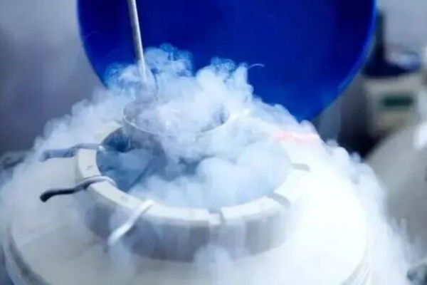 美国试管婴儿胚胎复苏率：影响因素与提升策略