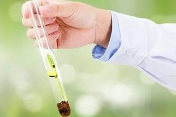 高龄夫妇泰国试管指南：科学规划让成功率翻倍！