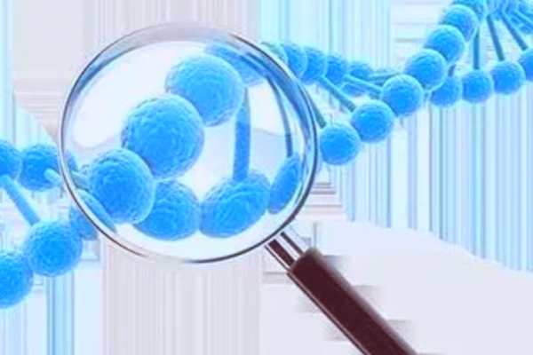 美国试管助孕成功率：关键要素全解析