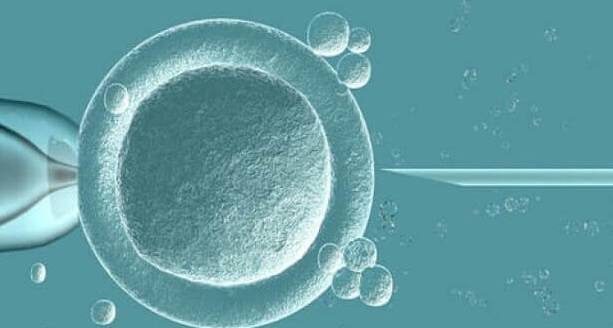 试管婴儿取卵后保存期限：低温储存并非仅限3天
