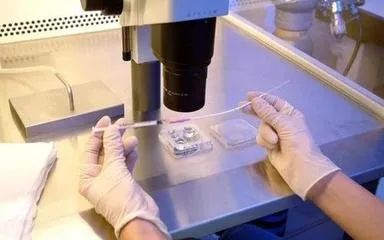 美国CCRH生殖中心：试管两次移植失败继续前行还是就此止步？