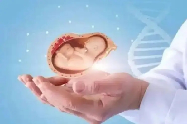 胚胎质量不佳？泰国试管三步助你“重塑胚胎品质”