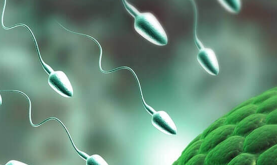 上海试管婴儿医院：运动能提高精子质量！深蹲、游泳等效果不错