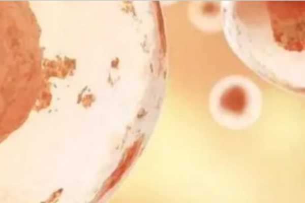 美国试管婴儿移植后注意事项全解析