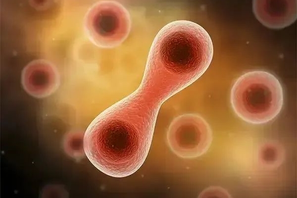 美国试管移植胚胎后能否着床，这些因素起因素关键作用