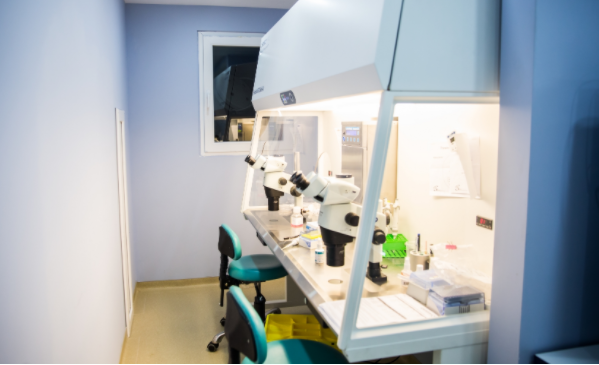 鲜胚还是冻胚移植成功率高?