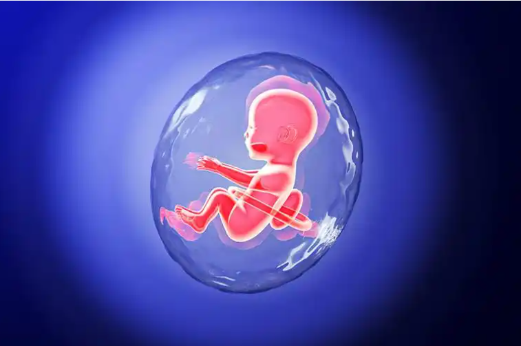 杭州三代试管婴儿：囊胚移植后着床时间全解析