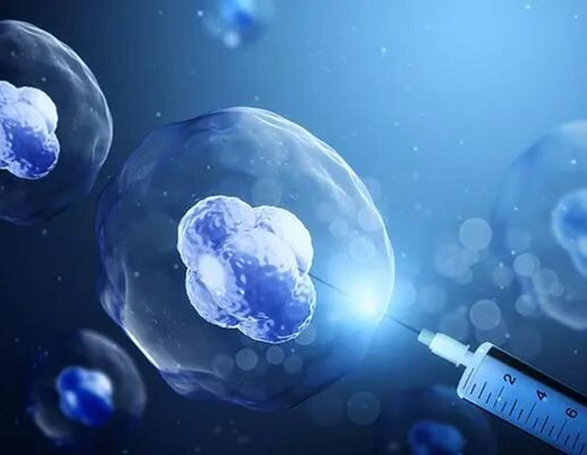 杭州三代试管婴儿：高成功率背后的技术优势与科学保障