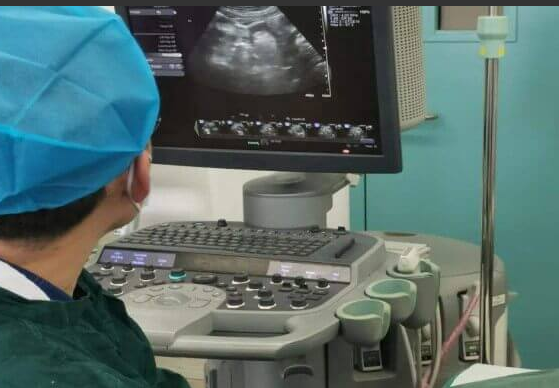 试管婴儿移植后胎停:警惕出血及其他预警信号