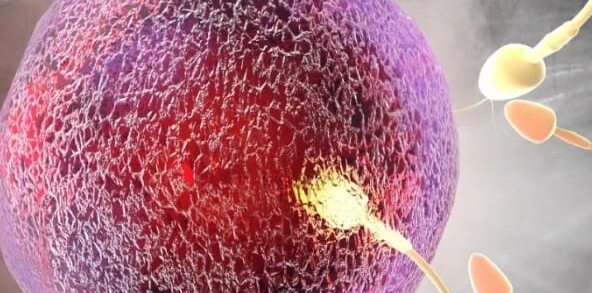 做试管婴儿反复失败别着急，找准原因是关键