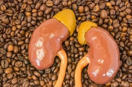 三代试管婴儿可排除的疾病:多囊肾遗传病在内的全面解析