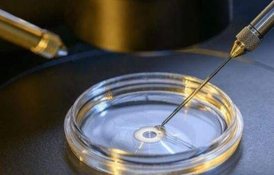 试管婴儿解冻生第二胎流程:制定内膜方案是关键