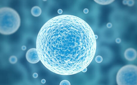 32岁女性基础卵泡数量:3-10个的医学解析