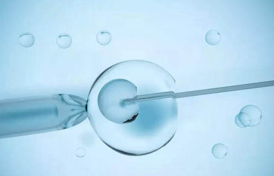 排卵障碍能否在美国做试管婴儿？有卵可用成功率真不低