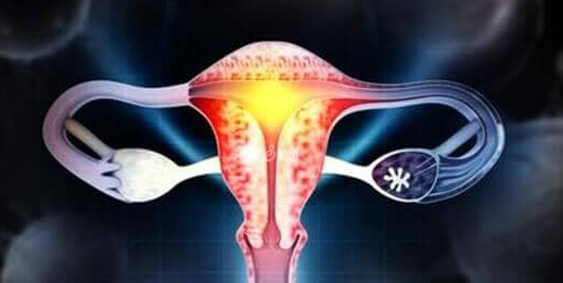 在泰国做试管：AMH值与卵巢功能及受孕的深度解析