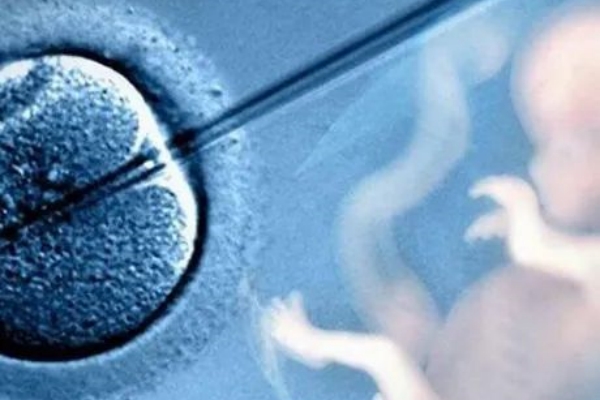 泰国千禧生殖中心:提升试管移植成功率关键调控子宫内膜状态