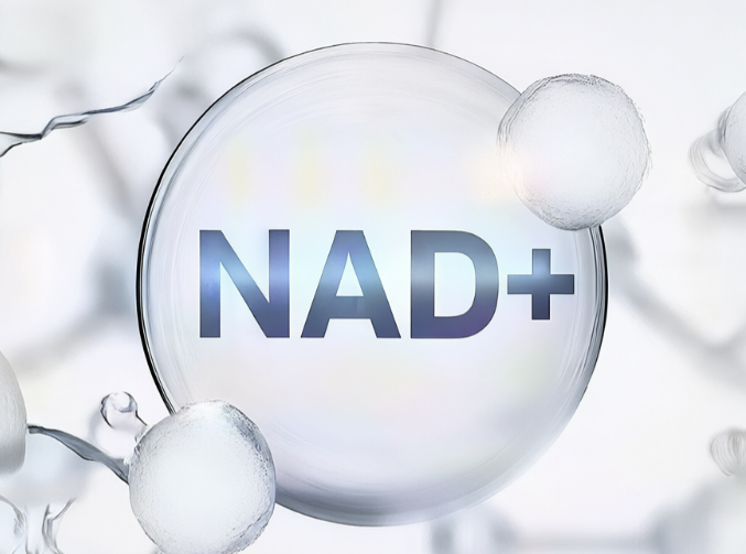 抗衰老新星NAD+：解锁生命密码的“能量钥匙”