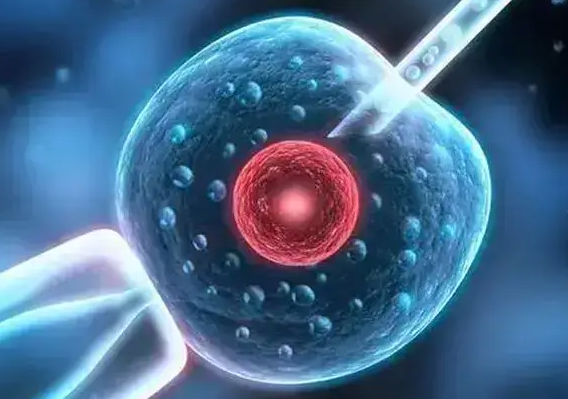 美国试管婴儿多次取卵：科学解析与衰老疑虑澄清