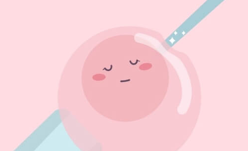 42岁AMH0.62美国试管婴儿成功率解析：卵子数量是核心限制