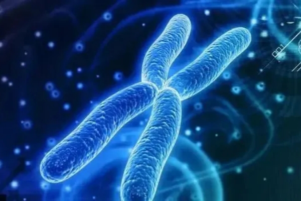 美国CCRH生殖中心:35岁以上试管婴儿需警惕流产风险与高血压隐患