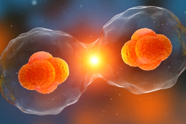 泰国千禧生殖中心:试管婴儿要双胞胎,母体子宫条件至关重要