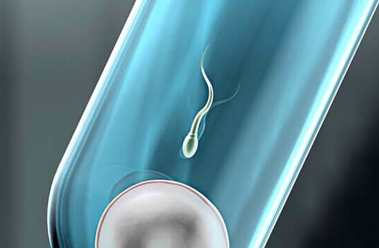 揭秘试管成功率六大核心影响因素