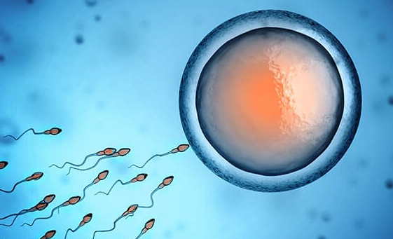 美国试管婴儿也会受精失败！附精卵不结合的原因及解决办法