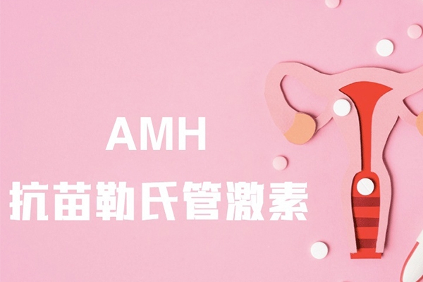 泰国DHC生殖医院:解析AMH值与试管婴儿门槛与低值希望