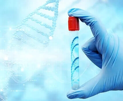 上海试管婴儿医院:AMH低不一定是卵巢早衰,这些因素同样关键