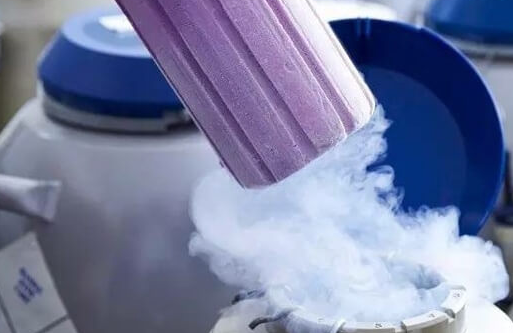 美国试管婴儿：鲜胚移植与冻胚移植的选择策略